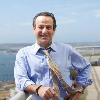  Lawyer Michael Stephen Berg