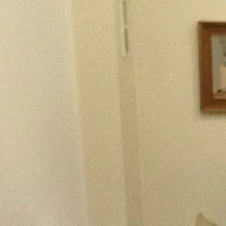  Lawyer John Lino Ponzini