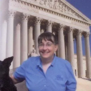  Lawyer Cindy Lee Hill