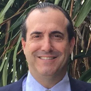  Lawyer Frederick A. Neustein