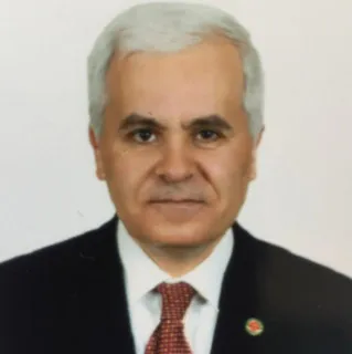  Lawyer Mustafa Ozmen