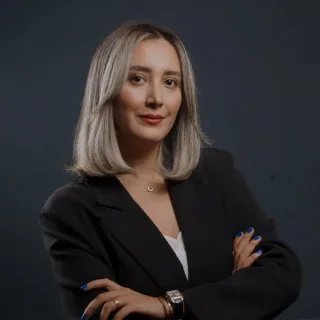  Lawyer Faezeh Hosseini