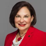  Lawyer Donna Greenspan Solomon