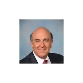  Lawyer Mitchell Scott Goldman