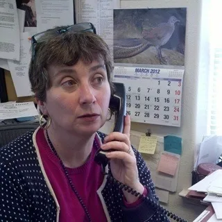  Lawyer Sharon Frances Cohen